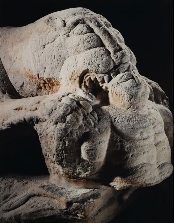 cramond-lioness1