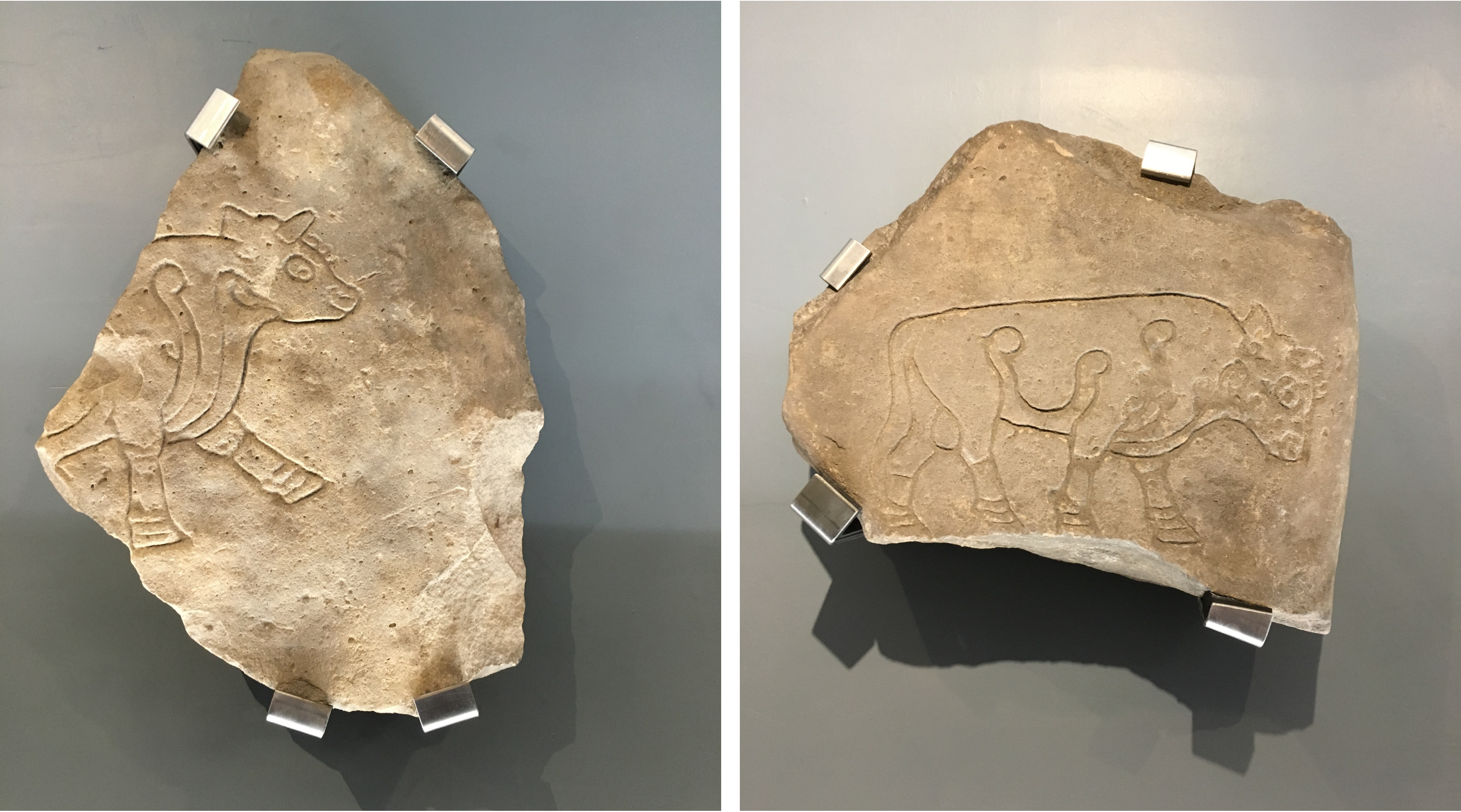 Two photos of partially damaged stone slabs featuring craved bulls