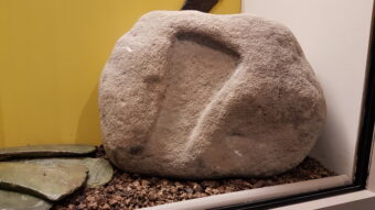 Photo of a stone mould for an axehead with iron axes next to it