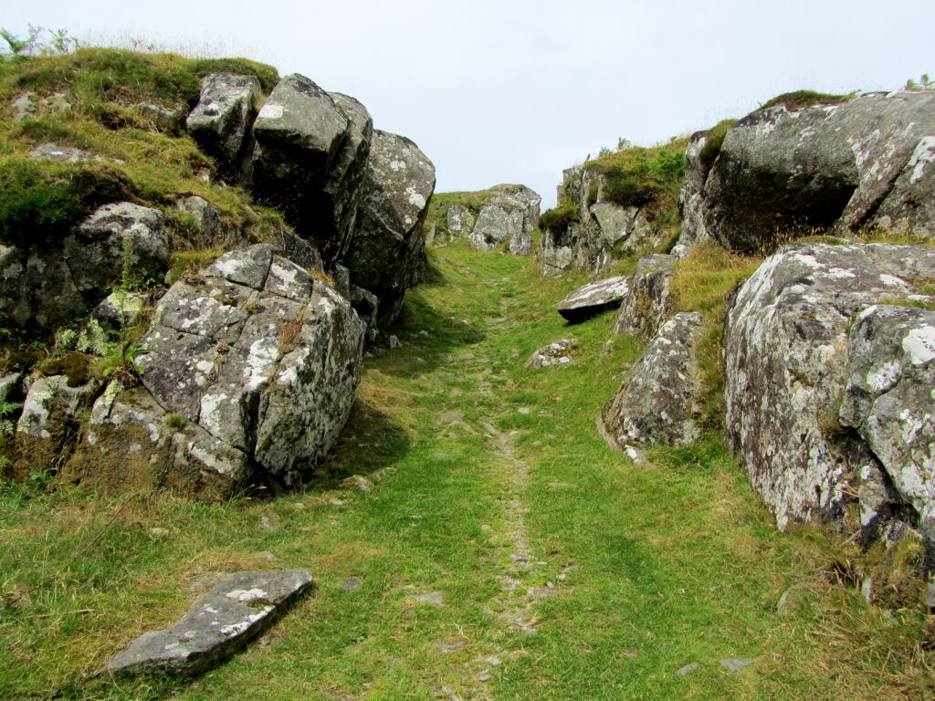 Grassy path with rocks on either side