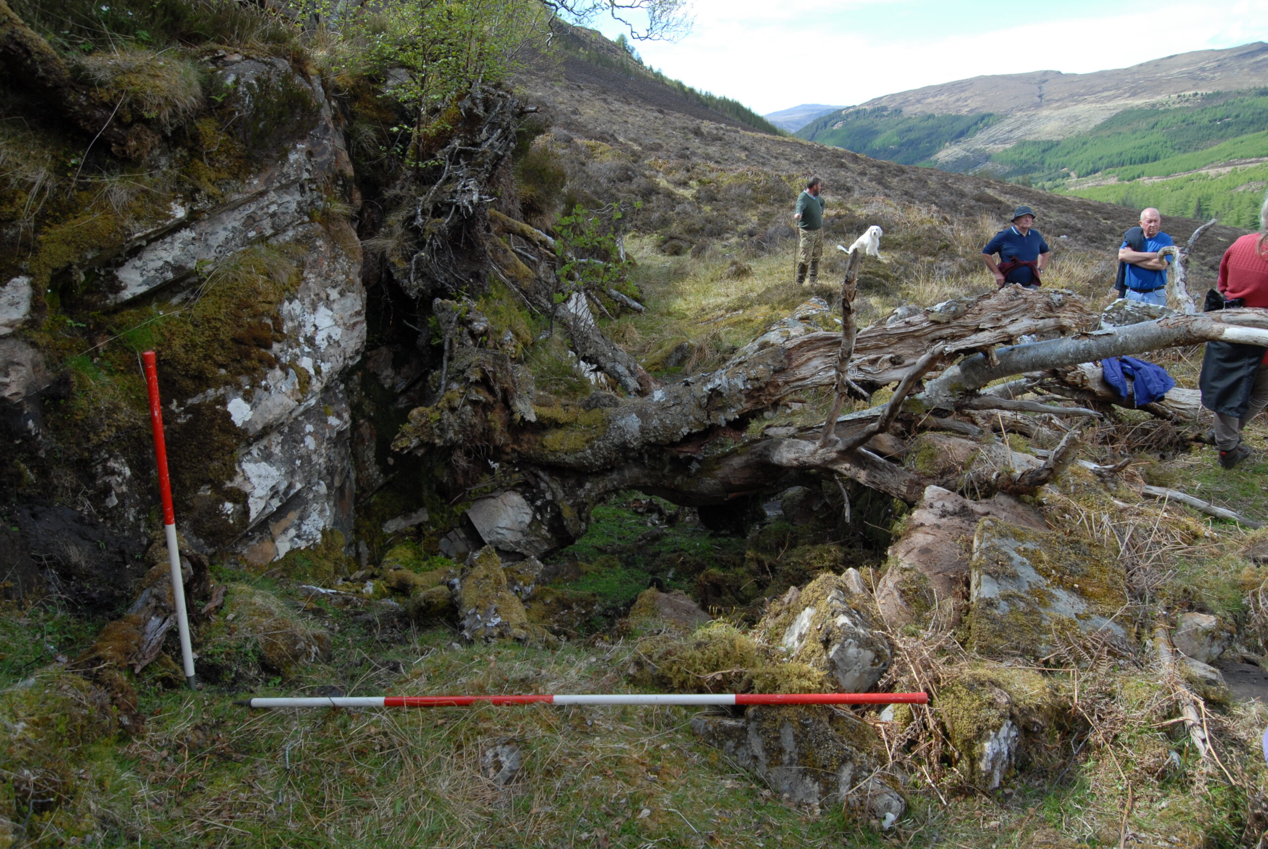 People standing around a site with boulders and a fallen tree
