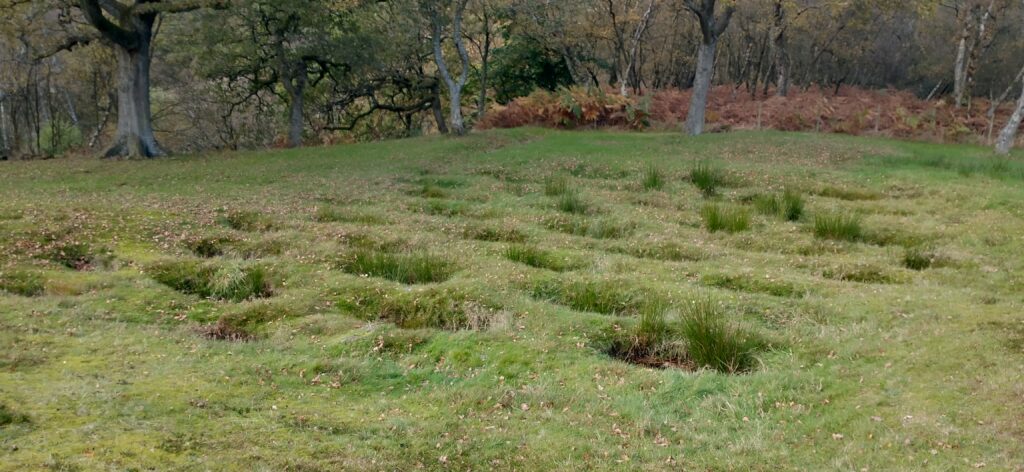 Photo of an array of holes in the ground, where spikes once sat