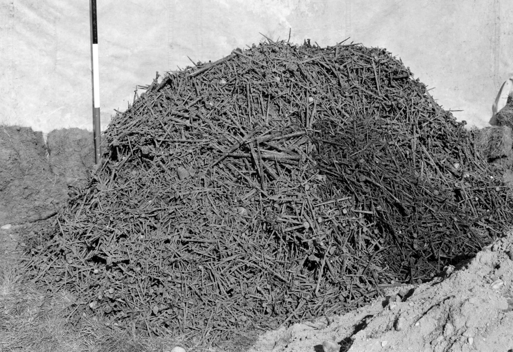 Black and white photo of a huge pile of iron nails on an excavation site