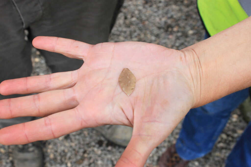 Photo of a hand holding out a small light brown prehistoric arrowhead