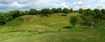 Grassy ditches