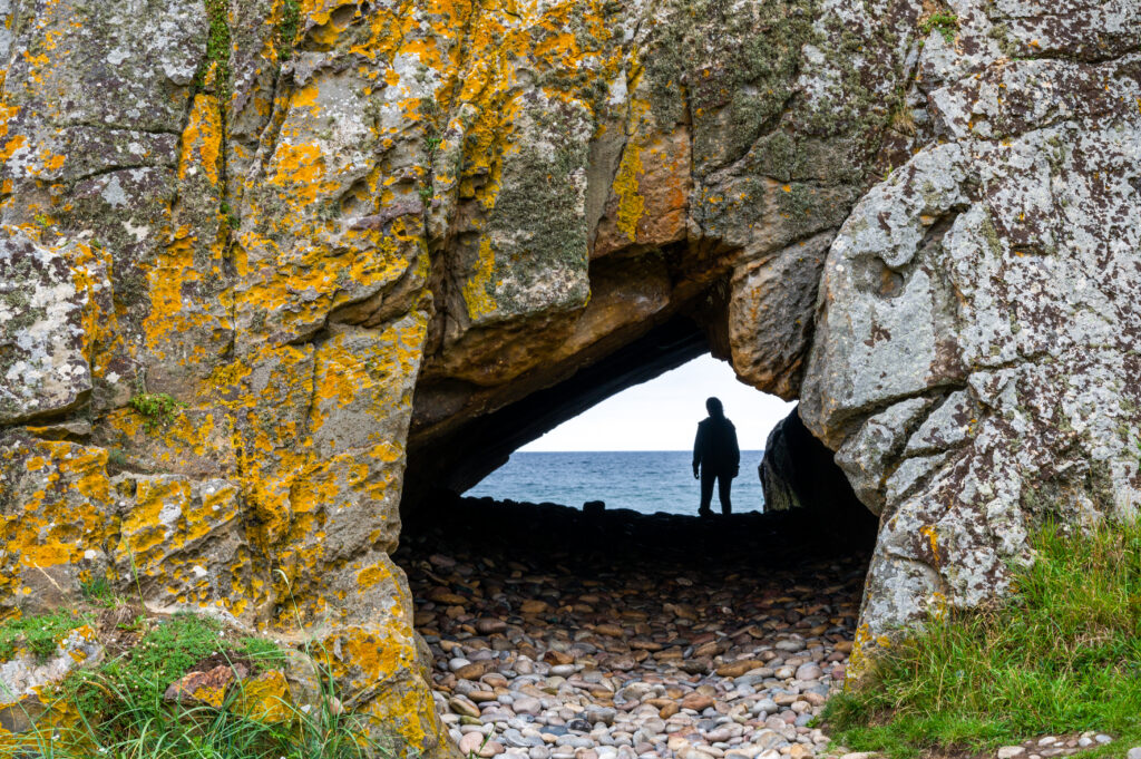 182 – Cove Bay_Primrose Bay-4