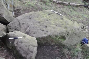 Photo of a large boulder with cup marks