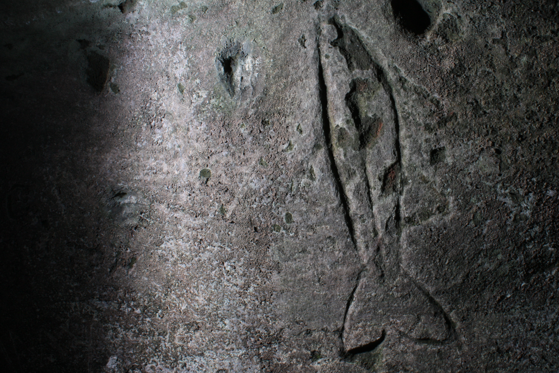 Photo of a fish carving on a cave wall