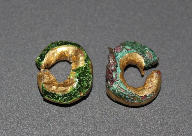 Photo of two eroded gold-covered hair rings