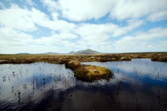 Photo of peatland with a mountain in the background