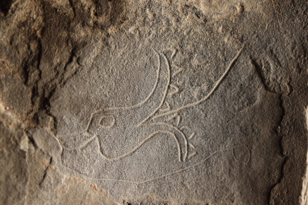 Carving of a possible dragon on stone