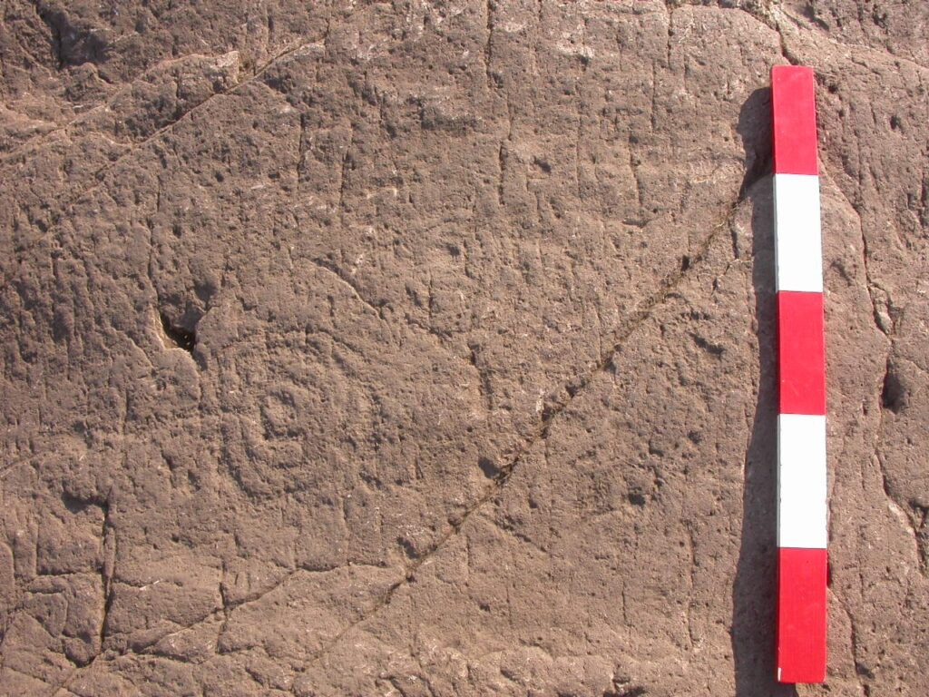 Photo of a panel of ancient rock art