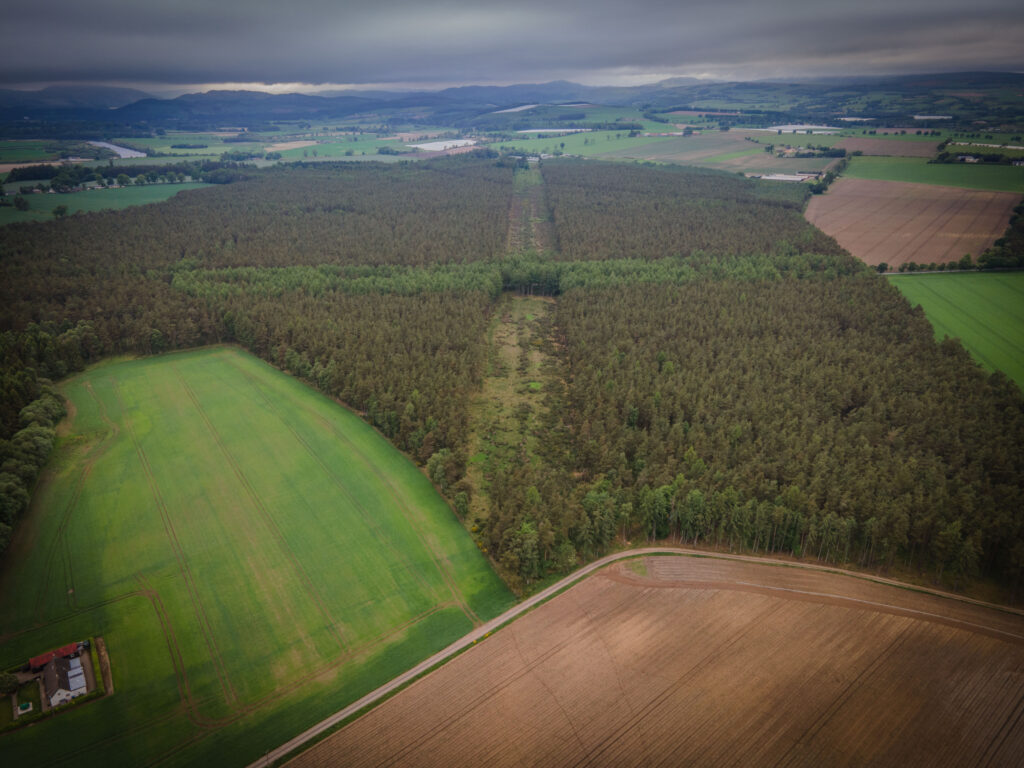 Aerial photo of a visible long straight dyke in a forest