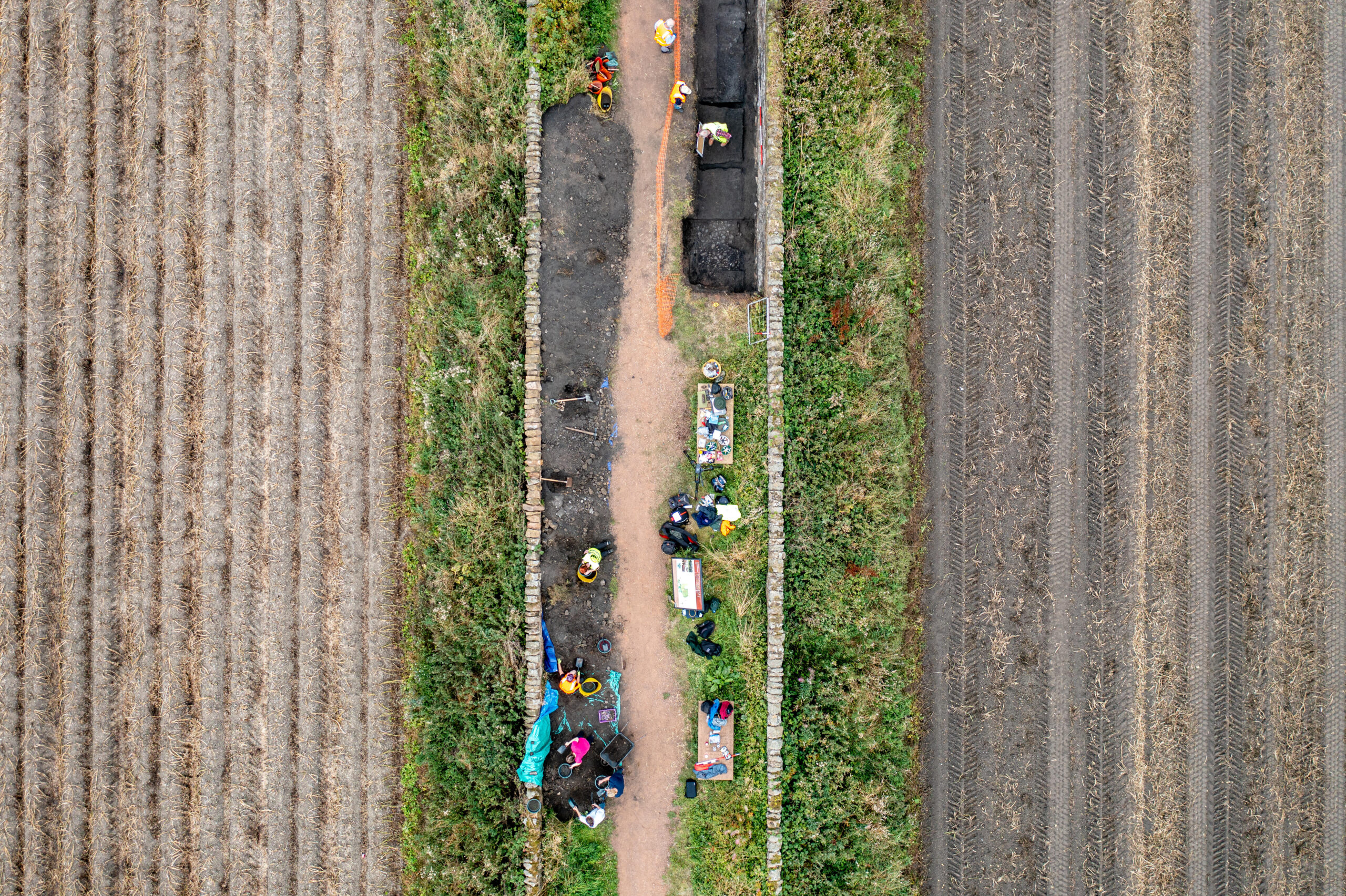 Aerial view of a dig taking place between two fields