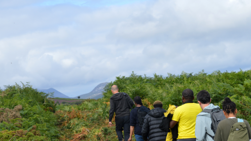 People walking in a wild area
