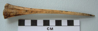 Photo of an antler bone pin