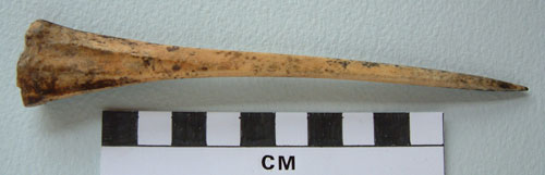 Photo of an antler bone pin