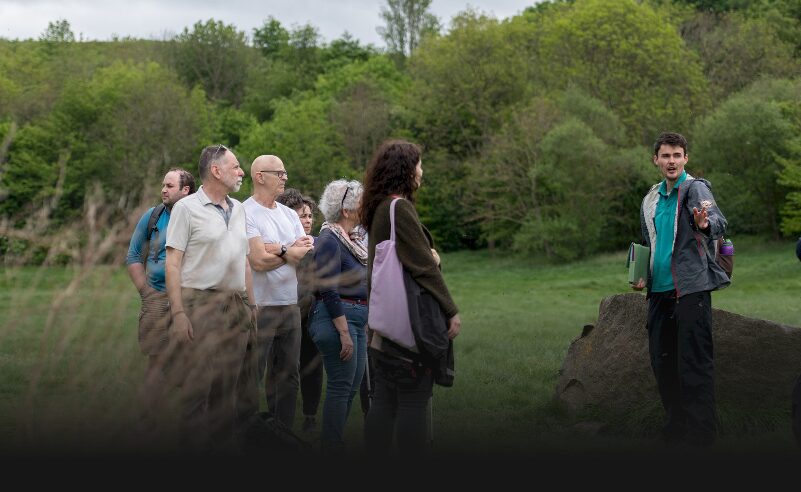 People in a grassy environment listening to a guide