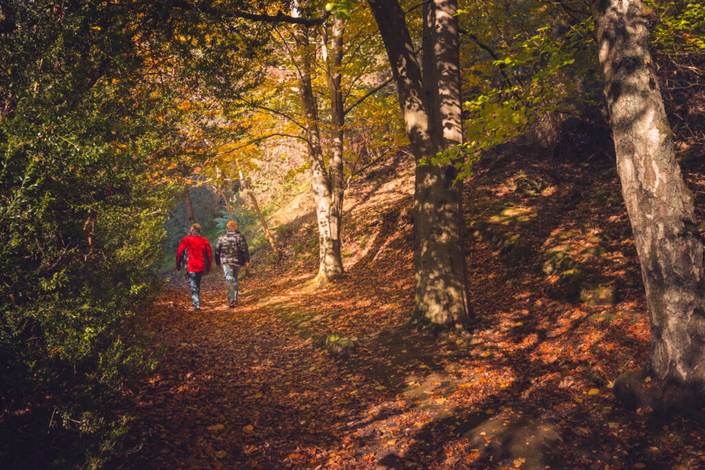 Mill-Tillicoultry glen