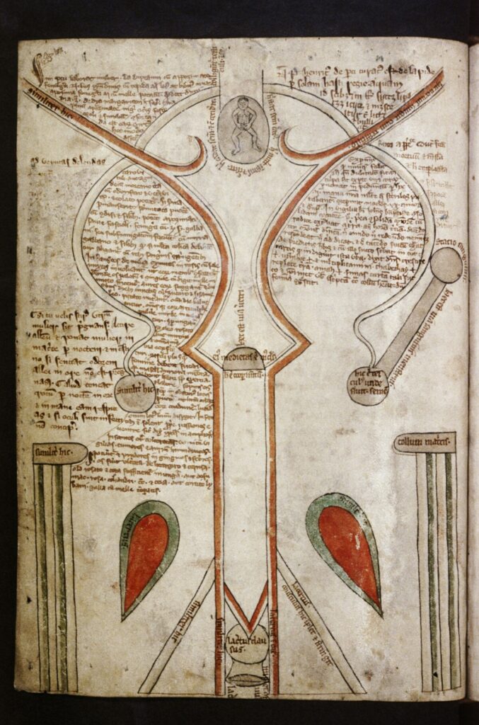 Manuscript page showing a medieval diagram of a uterus