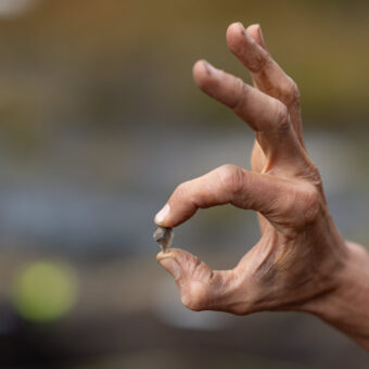 Hand holding a tiny flint (stone) artefact