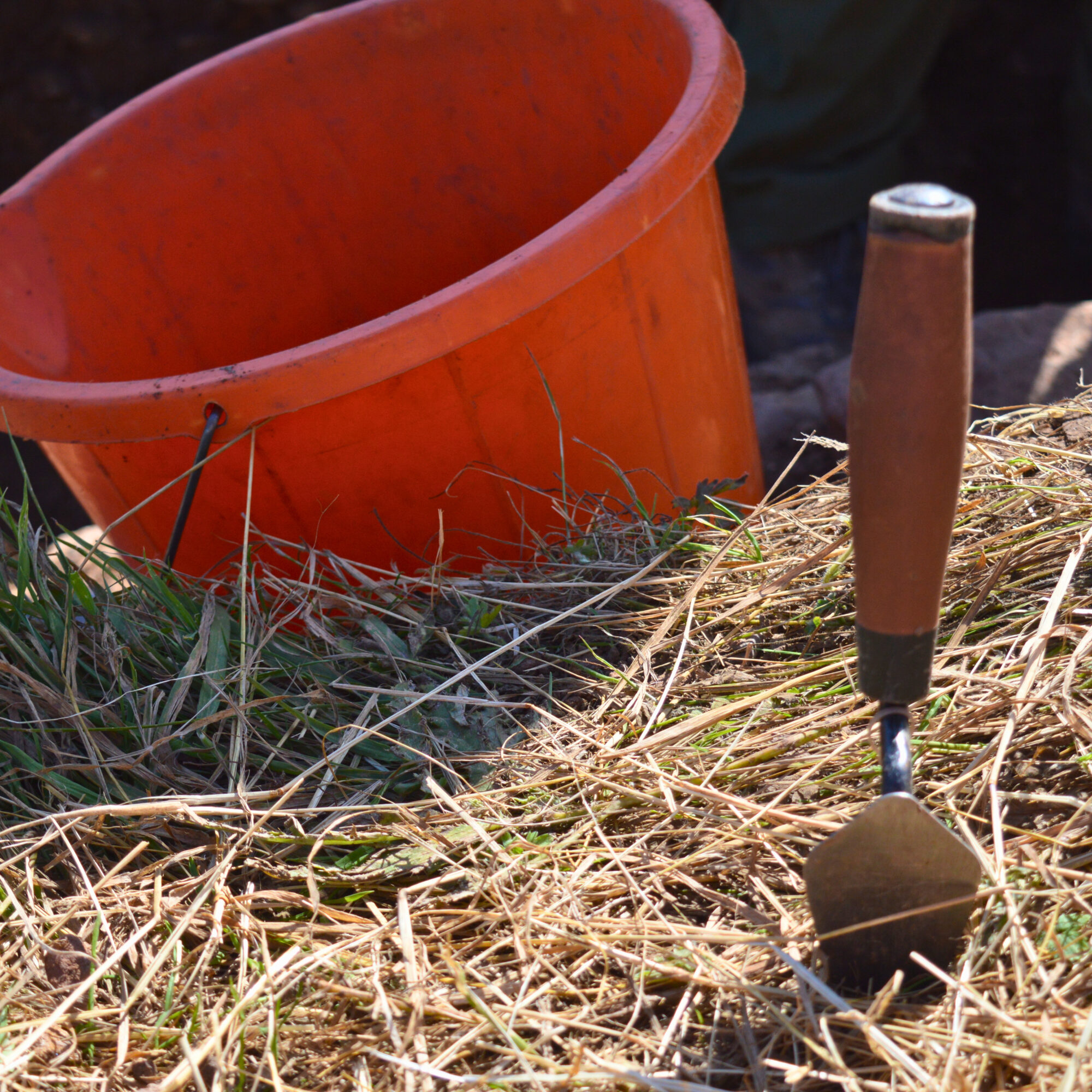 Bucket and trowel in grass beside a trench