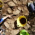 Photo of people revealing a historic paved surface in an archaeological trench