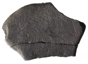 ‘The Hostage stone’ depicts a scene, either witnessed or imagined, that shows “wild-haired raiders” dressed in long coats of mail dragging a hunched figure by a rope, towards a ship. This prisoner may be a monk