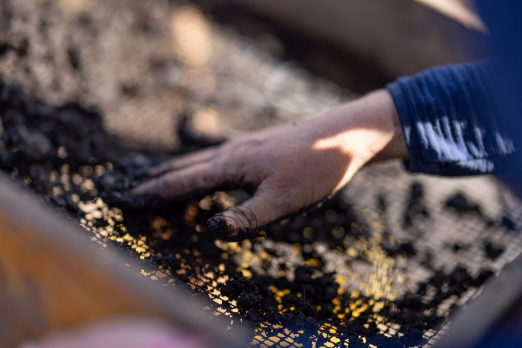 Person using their hands to push soil through a sieve 