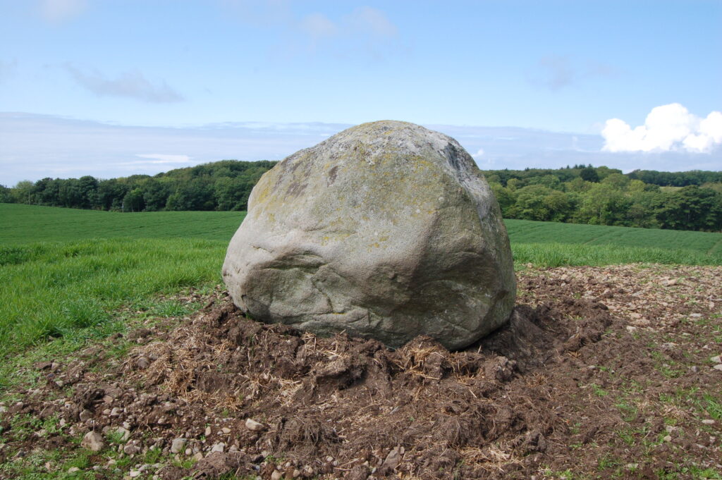 Photo of a huge boulder in a field.