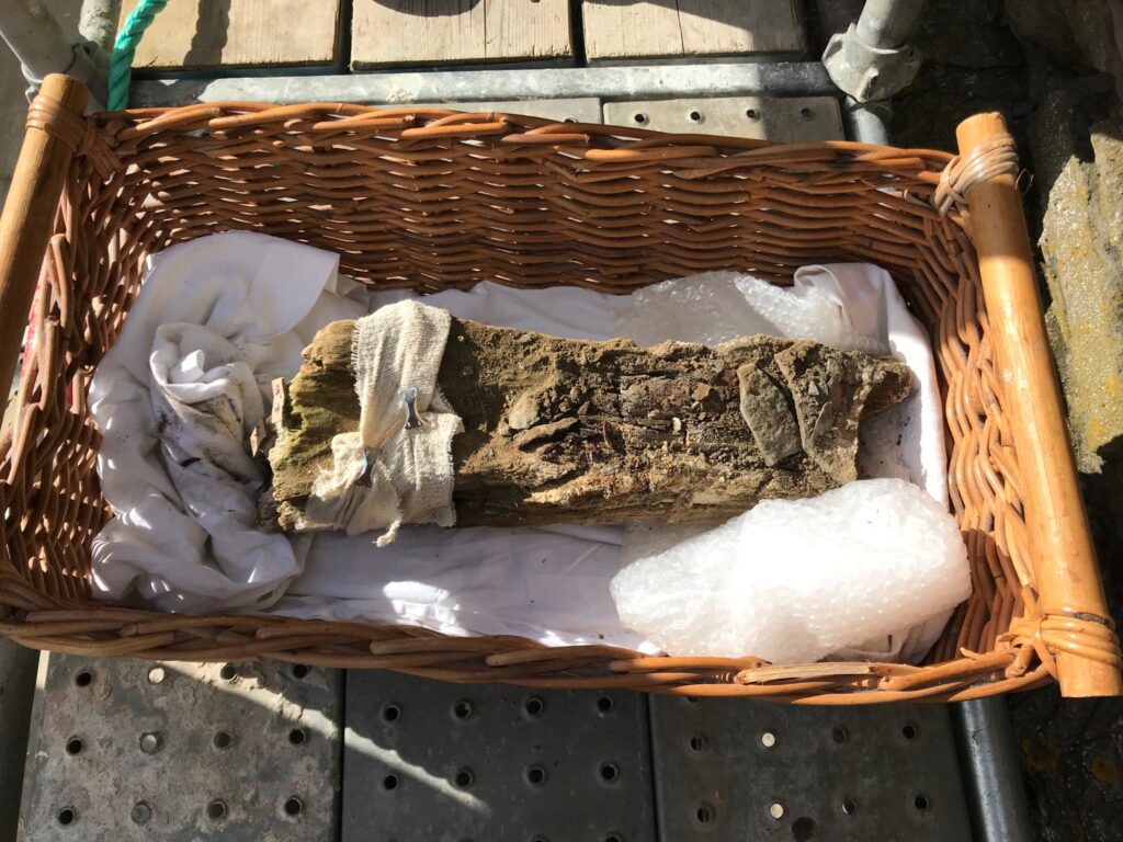 Photo of an ancient piece of wood lying in a basket