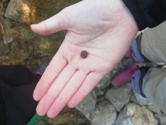 Photo of a hand holding out a tiny piece of round metal