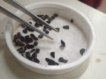 Photo of pieces of tiny dried residue flakes in a white container