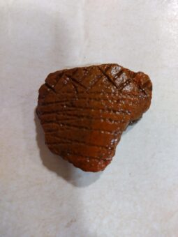 Photo of a piece of red prehistoric pot, with groove detail