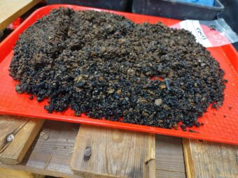 Photo of gravel-like residue laid out on a red tray