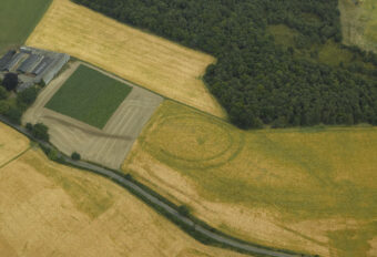 Aerial photo of a cropmark site showing the remains of a circular prehistoric fort