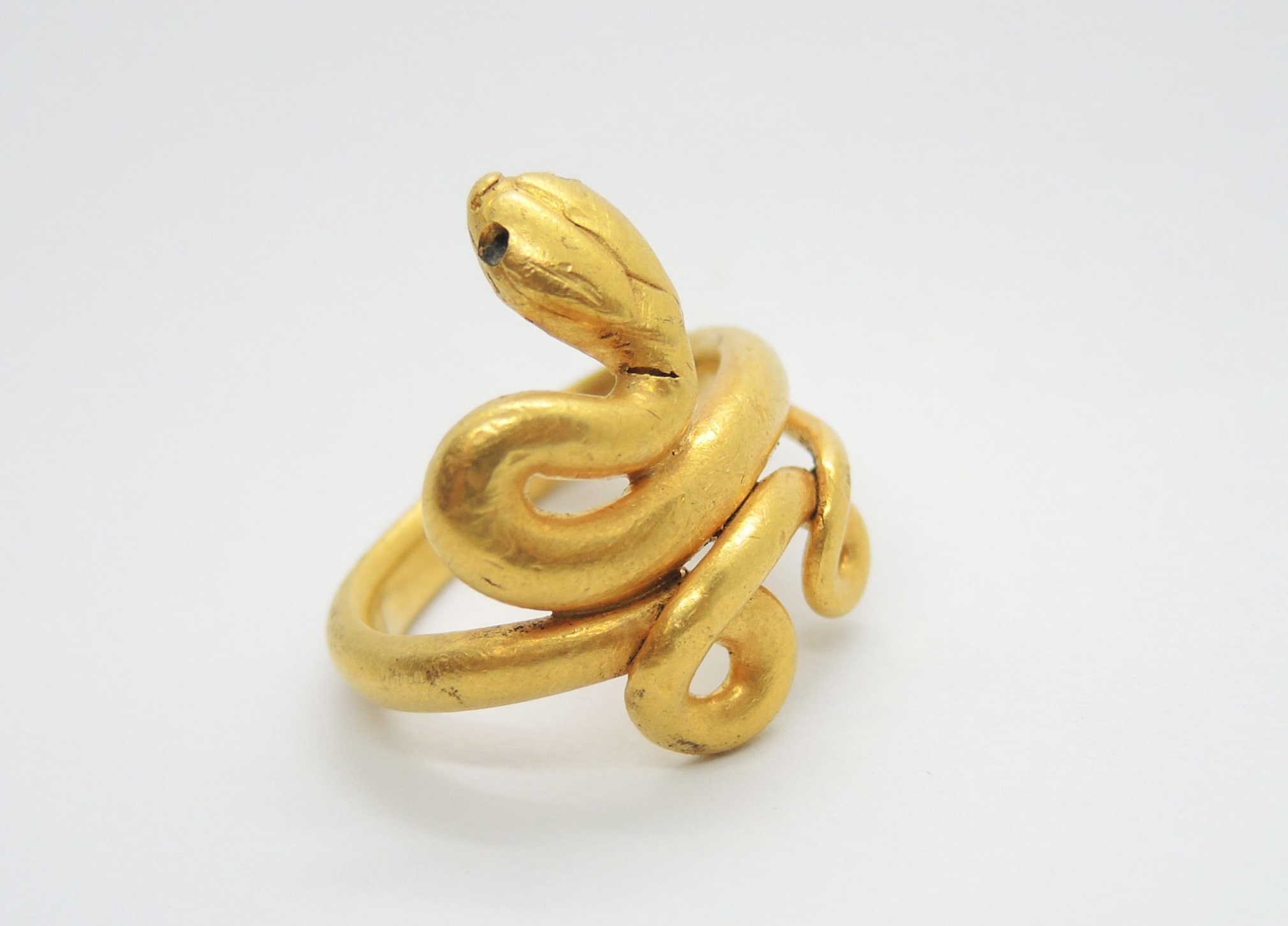 Roman-Snake-Ring-scaled - Dig It!