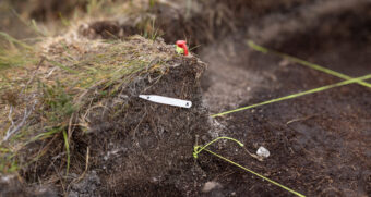 A trench with labels stuck in the ground and strings going across it