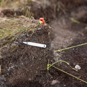 A trench with labels stuck in the ground and strings going across it