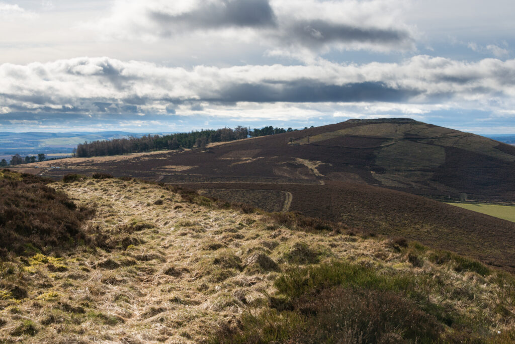 The Brown and White Caterthuns are a pair of large hill forts sitting about 1km apart on adjacent hills overlooking Strathmore. Both are enclosed by a series of earthworks, and it is likely they had multiple functions, serving both as military and ceremonial centres. Indeed, they could be regarded as one site with two summits A massive stone-built oblong fort, with evidence for vitrification, surrounds the summit of the White Caterthun.