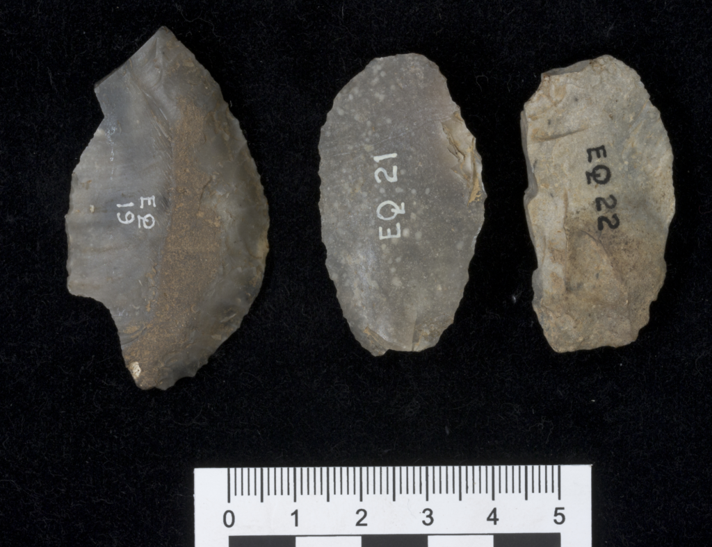 Flake of flint