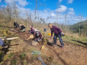 Photo of people working in a shallow archaeological trench on a sunny day