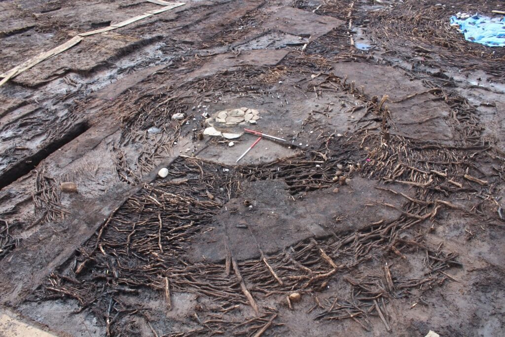 Photo of the partial remains of a wooden prehistoric roundhouse preserved in a waterlogged ditch