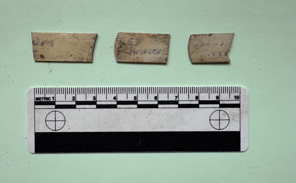 A broken “RED CAMPION” flower tag next to a ruler