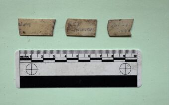 A broken “RED CAMPION” flower tag next to a ruler