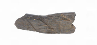 hale bangle fragment decorated with hand-carved Celtic art motifs