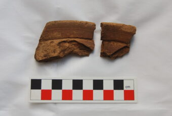 Photo of two sherds of the lip of a pot on a white cushion