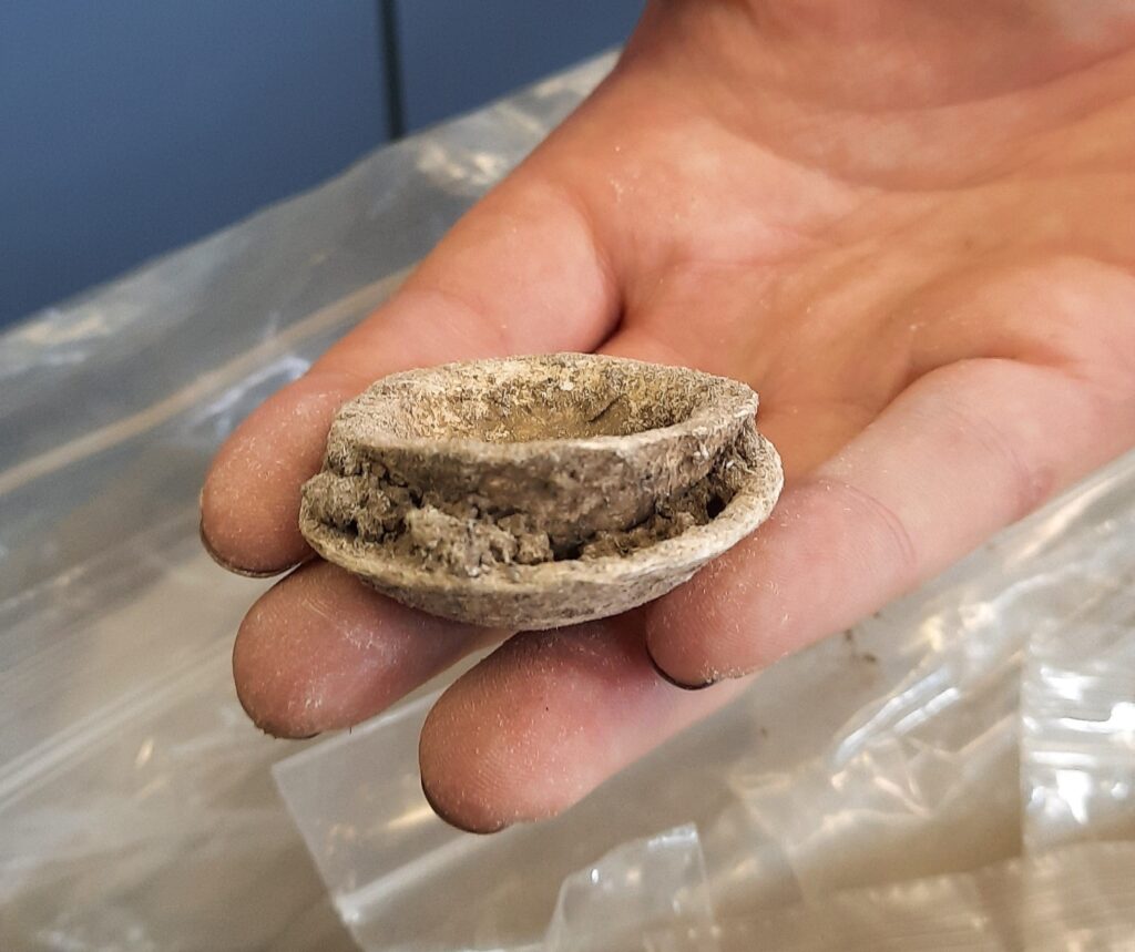 Photo of a hand holding out two shells fused together