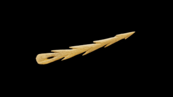 Photo of a barbed harpoon made from deer bone