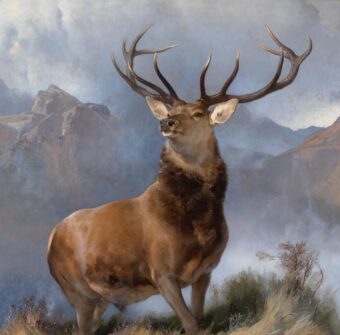 Painting of a large red deer stag with Scottish Highlands in the background